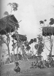 Dobos, puutalot naimattomille naisille Melanesiassa, 1902