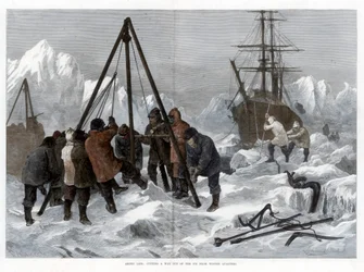 Arctic Life, Leikkaa tie ulos jäästä Winter Quarterreista, 1875