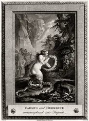 Cadmus ja Hermione, muuttuneet käärmeiksi, 1776