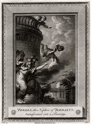 Perdix, Daidaloksen veljenpoika, muutetaan peltopyyksi, 1774
