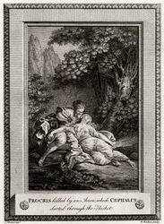 Prokris Tapoi nuolen, jonka Cephalus syöksyi metsän läpi, 1775
