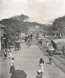 Katukuva lähellä kaupungintaloa, Colombo, Ceylon, 1895.