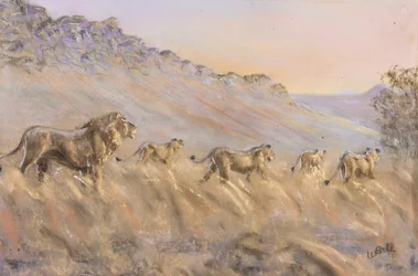 Afrikkalaiset leijonat (pastelli)