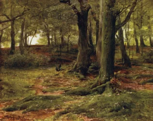 Uusi metsä: The Hill Woods, Lyndhurst (väri litho)