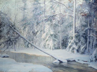 Kalteva puu