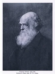 Charles Darwinin etsaus, Nature in Britain julkaisija Collins