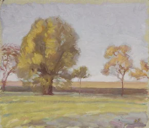 maisema