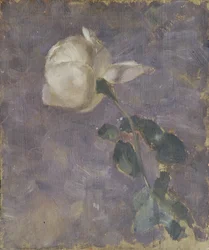 Rosefinnish