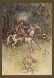 Levy 24: "Kirkas valo, kuten kuun valo, loisti hänen otsaansa", julkaisusta Folk-Tales of Bengal ... 32 värillistä Warwick Goblen kuvitusta (Edition de luxe)