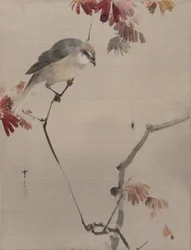 Bird on Branch Watching Spider, n. 1887.