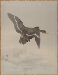 Lentävä hanhi, n. 1887.