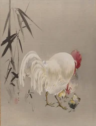 Kukko ja kana poikasten kanssa, n. 1887.