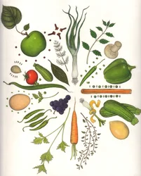 Erilaisia elintarvikkeita