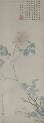 Pioni, riippuva käärö, 1532 (muste ja väri paperille)