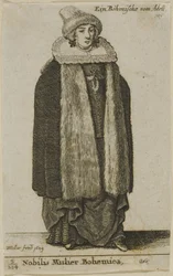 Boheemi aatelisnainen