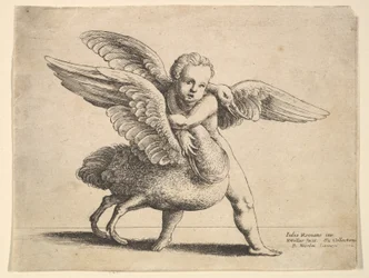 Amor ja joutsen, 1652.