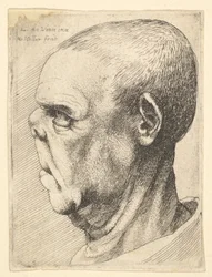 Groteski vanha mies, jolla on litteä nenä, vasemmalle kääntyneenä sivukuvassa, 1625-77