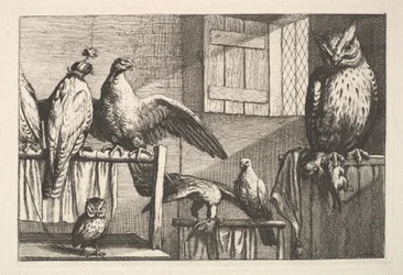 Haukat ja pöllöt, 1625-77.