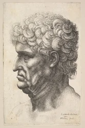 Miehen pää, jolla on paksut kiharat hiukset profiilissa vasemmalla, 1640-49.
