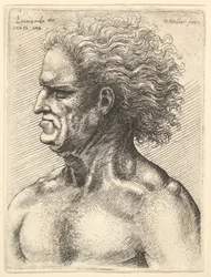 Vasemmalla vasemmalla lihaksikkaan miehen pää, 1625-77.