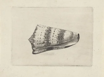 Shell, cone imperialis Shells (sarjan nimi)