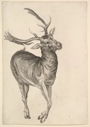 Polttarit, 1625-77.