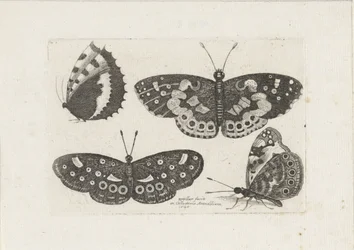 Vier vlinders Hyönteiset (sarjan nimi) Scarab Flies (sarjan nimi)