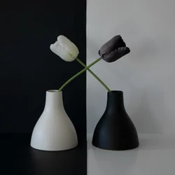 Mustavalkoisen tulppaanin tasapaino