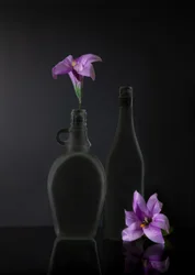 Tummanvioletti asetelma