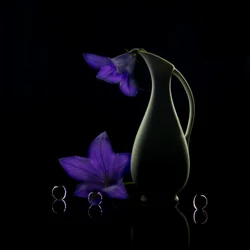 Violetti kukka – tumma eleganssi