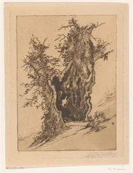Ontto puu Seelisbergissä Sveitsissä Hollow Tree (alkuperäinen nimi)