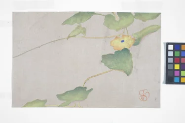 Flower Study, n. 1908 (värillinen puupainatus)