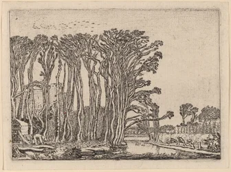 Hiilenpoltin