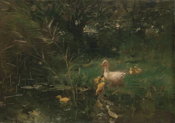 Ankanpoikaset