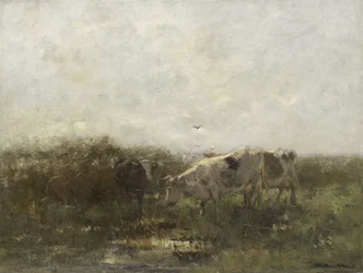 Lehmät
