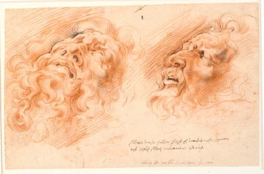 Laocoon. Kaksi tutkimusta Laocoonin kasvoista, yksi näyttää en facelta alhaalta ja toinen profiilissa vasemmalla.