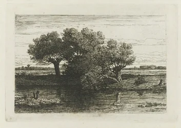 Kalastaja pollarin pajujen luona