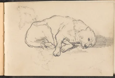 Luonnos nukkuvasta koirasta, noin 1879