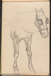 Luonnos hevosesta vilkkuvilla, 1879 noin
