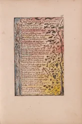 Songs of Innocence and of Experience, levy 28, On Anothers Sorrow (Bentley 27)