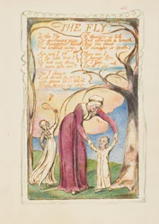 Songs of Innocence and of Experience: The Fly, n. 1825.