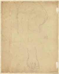 Belvederen torso [verso]
