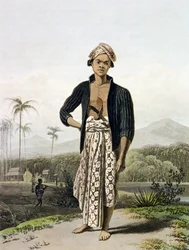 Alemman luokan jaava, levy 2 osasta Vol. Thomas Stamford Rafflesin (1781-1826) 