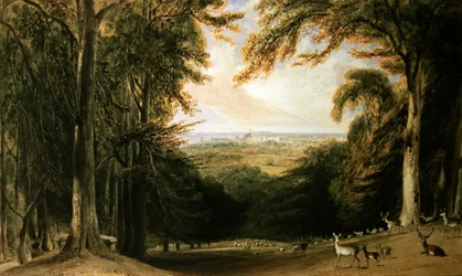 Metsäinen maisema, Windsor