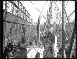 R.M.S. Carpathia lastauslaiturilla 54 N.R., 1912