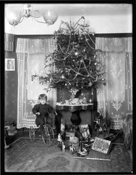 Seymour-poika poseerasi kolmipyörällä istuen joulukuusen vieressä salissa jouluna 1912