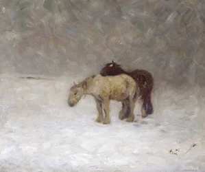 Lumimyrsky, n. 1891 (öljy kankaalle)