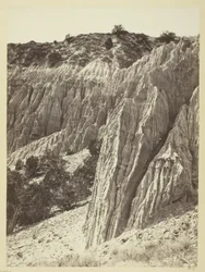 Rain Sculpture, Salt Creek Cañon, Utah