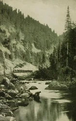 Coloradon Cañonit