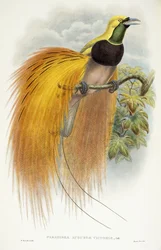 Augusta Victorian paratiisi, 1891-1898